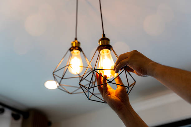 Best 24-Hour Electrician  in Oakland, TN